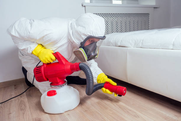 Best Affordable Exterminators  in Bernie, MO