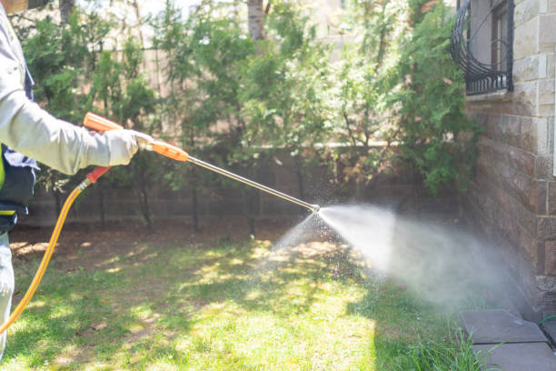 Best Pest Removal Services  in Bernie, MO
