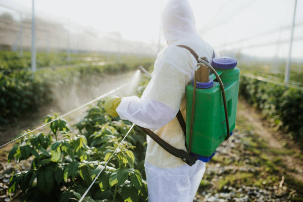 Best Pest Control Near Me in Bernie, MO